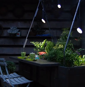 Una struttura con piante e un piano da tavolo, fotografata di sera con luci d'atmosfera